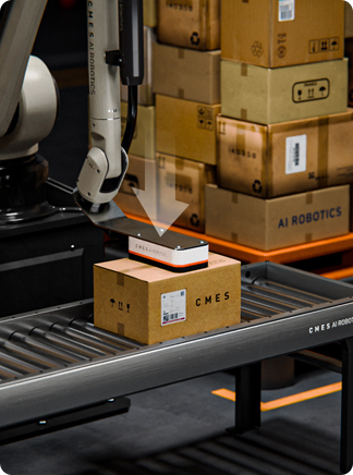 디팔레타이징 작업